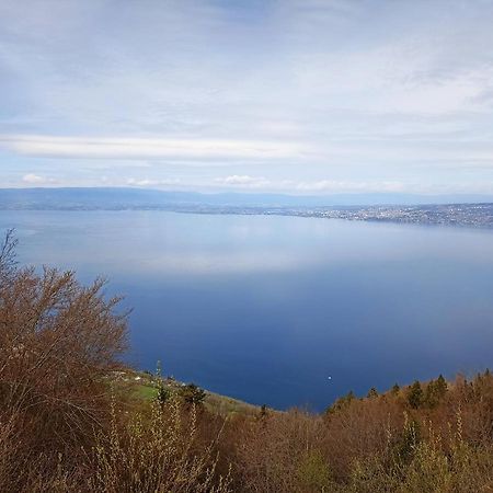 Appartement T2 Ideal Pour Une Famille Thollon-les-Memises Dış mekan fotoğraf