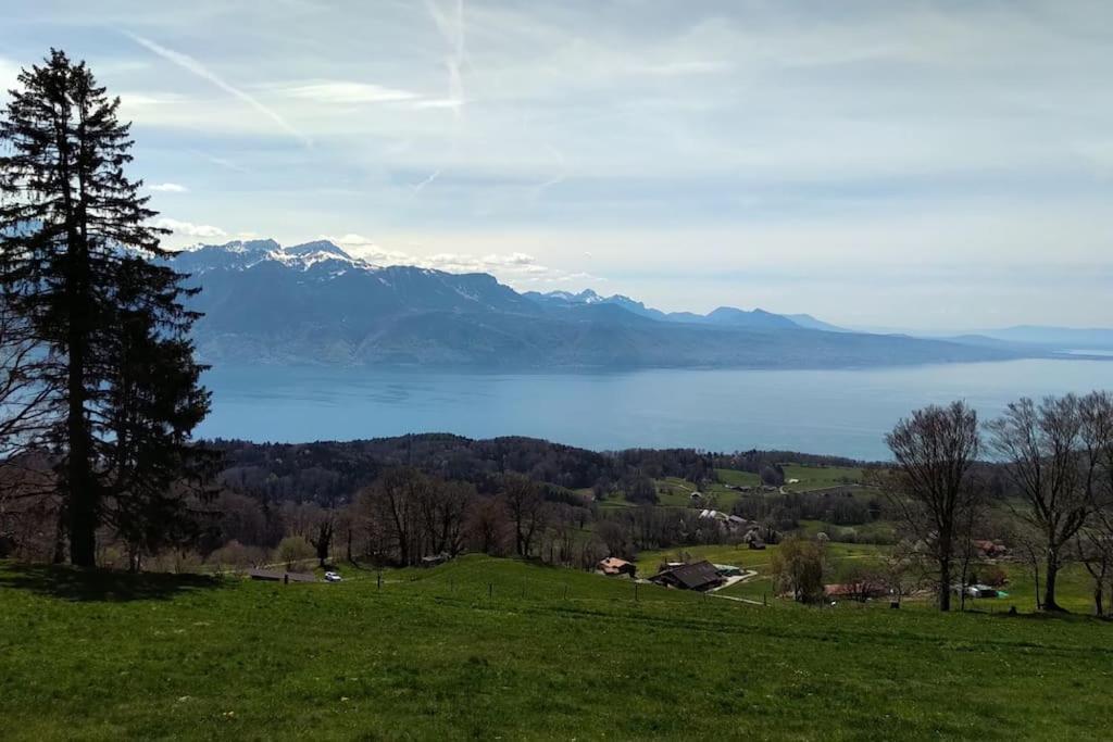 Appartement T2 Ideal Pour Une Famille Thollon-les-Memises Dış mekan fotoğraf