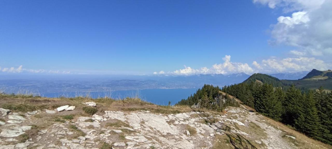 Appartement T2 Ideal Pour Une Famille Thollon-les-Memises Dış mekan fotoğraf
